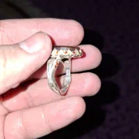 انگشتر نقره|کلکسیون اشیاء عتیقه|تهران, گلستان (شهرک راه آهن)|دیوار