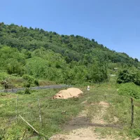 زمین-کوهپایه-ای-خاص