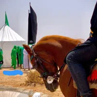 اسب مادیان عرب کرد|اسب و تجهیزات اسبسواری|یزد, |دیوار