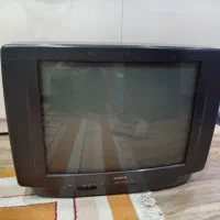 تلویزیون