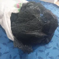 گوفه