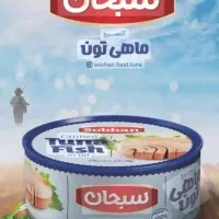 استخدام نیروی ساده