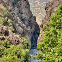 ویلا باغ در مجاورت رودخونه توریستی چیتاب|اجارهٔ کوتاه‌مدت ویلا و باغ|یاسوج, |دیوار