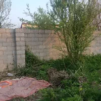 زمین روستایی در گیلان، لشت نشا،روستای پسبیجار گفشه|فروش زمین و ملک کلنگی|لشت نشا, |دیوار