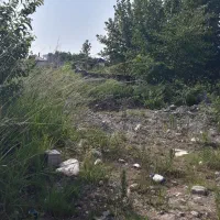 زمین جنگلی مناسب ویلا سازی ۵۴۰متر -متل قو|فروش زمین و ملک کلنگی|سلمان‌شهر, |دیوار