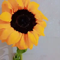 تابلو قالیچه دست بافت.  ابریشم