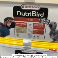 پت شاپ|لوازم جانبی حیوانات|اصفهان, شاهد|دیوار