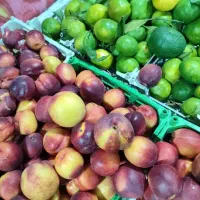 شاگرد میوه فروشی شیفت صبح