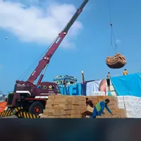 لنج دبی در حال بارگیری|خدمات حمل و نقل|بندر گناوه, |دیوار