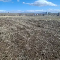 کود اوره شیراز