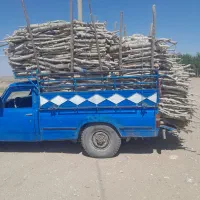 خریدانواع چوب درخت|خدمات باغبانی و درختکاری|سیرجان, |دیوار