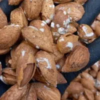 تخفیف ویژه خشکبار|خوردنی و آشامیدنی|تهران, مولوی|دیوار