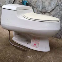 سرویس بهداشتی