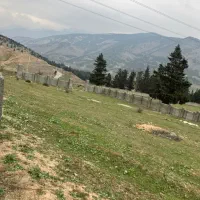 زمین ویلایی در شهرک لاله مرزن آباد چالوس
