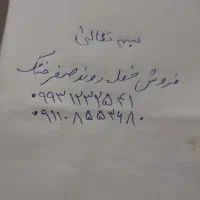 فروش خط همراه اول رند قابلیت دایمی هست|سیمکارت|بابل, |دیوار