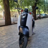 هوندا اسکوپی 50 سیسی سالم و شیک|موتورسیکلت|شیراز, گود خزینه|دیوار