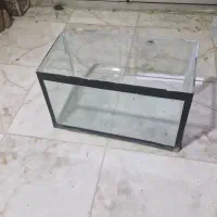 اکواریوم سالم