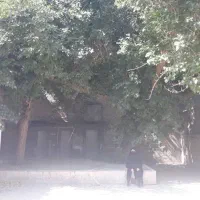 415مترویلایی 2/5طبقه همکف«فلکه اب»|فروش خانه و ویلا|مشهد, عیدگاه|دیوار