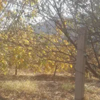 باغ گردو ۲۷۰۰متر قیمت هرمتر۱ملیون تومان|فروش زمین و ملک کلنگی|بیرانوند, |دیوار