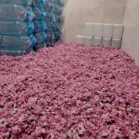 پذیرش نمایندگی