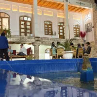 کمک اشپز خانم،ظرفشور،کارگر ساده