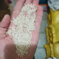 برنج شمیم نوراباد