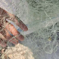 تور قبادی سه ای