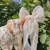 دانتل و هدبند، اکسسوری کریستالی