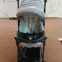 کالسکه و کریر|کالسکه و لوازم جانبی|کوچصفهان, |دیوار