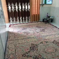 سوییت-50متری