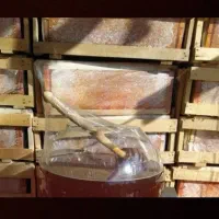 ژل رویال گرده شان موم طبیعی اصل|خوردنی و آشامیدنی|سبزوار, عظیمیان|دیوار