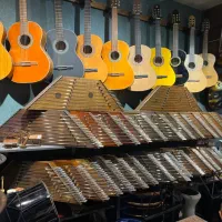 گالری تخصصی موسیقی چکاد|سازهای سنتی|مشهد, اقبال|دیوار