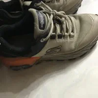 کتونی اسکیچرز|کیف، کفش، کمربند|ماسال, |دیوار