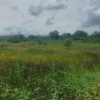 فروش ۱هکتار زمین باغی بامجوز گلخونه با سند تک برگ