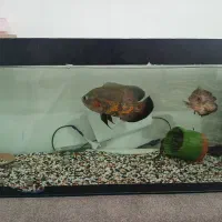 فروش یک عدد اکواریوم