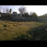 زمین|فروش زمین و ملک کلنگی|عنبران, |دیوار