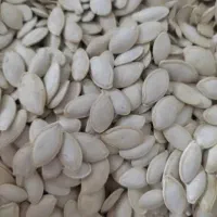 تخمه کد پانصد کیلو