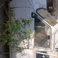 وانت پیکان مدل ۶۲ مدارک کامل به جز معاینه فنی