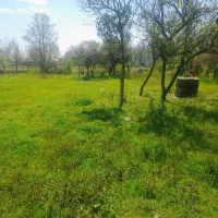 زمین مسکونی گیلان
