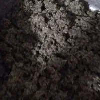 قرمه سبزی پر سرخ خانگی|خوردنی و آشامیدنی|فردیس, قریشی|دیوار