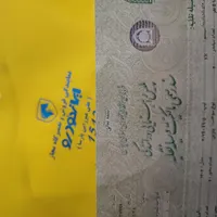 پژو 207ارتقا یافته پانورما 1404|خودرو سواری و وانت|همدان, |دیوار