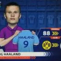 کارت ترنسفر مارکت هالند