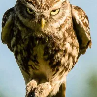 مشاوره نیاز دارم