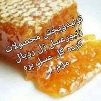 عسل ژل رویال گرده گل|خوردنی و آشامیدنی|مشهد, حجت|دیوار