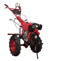 تیلرزنی|گل و گیاه طبیعی|مشهد, قائم|دیوار