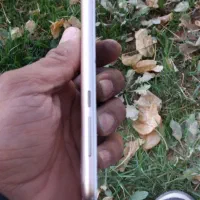 فروش گوشی honor 5 c لمسی|موبایل|شیراز, کلاهدوز|دیوار