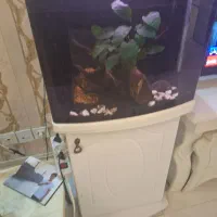 آکواریوم شرکتی،با وسایل