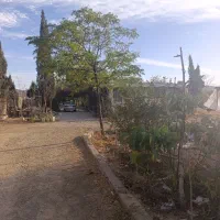 فروش 5250متر گلخانه بر اتوبان جاده بیستون|فروش دفتر صنعتی، کشاورزی، تجاری|کرمانشاه, |دیوار