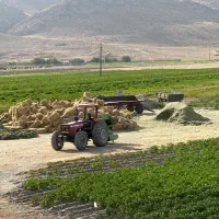 راننده تراکتور