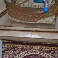 مرغ عشق|پرنده|تهران, شکوفه (عبدل آباد)|دیوار